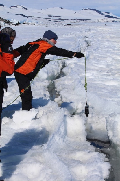 Deploying the hydrophone