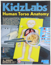 KIDZLABS ANATOMY