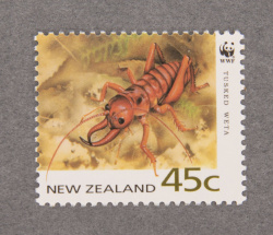 Figure 2 WWF tusked weta2