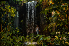 ATTRACTION TuhuraTropicalForest 56