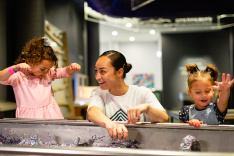 Otago Museum 123
