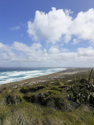 henga dunes