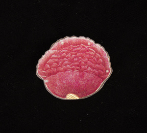 Figure 2 Poppy brooch3