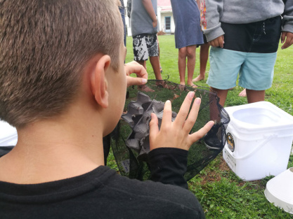 6. Photo of moths being brought in