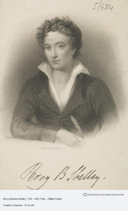 Figure 5. Shelley