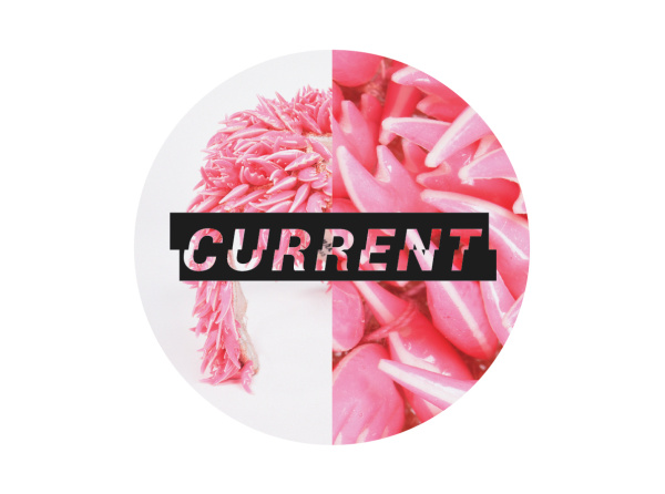 Current Circle Title Pink new grey