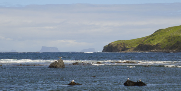 10 manukau point at rising tide 1