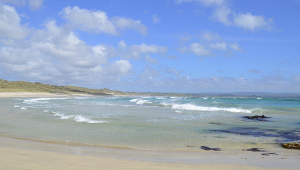 2 waitangi bay from red cliffs area