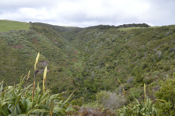 awatotara reserve