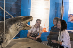 ATTRACTIONS OtagoMuseum Family 015 DunedinNZ