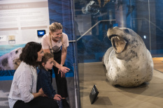 ATTRACTIONS OtagoMuseum Family 017 DunedinNZ