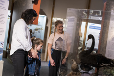ATTRACTIONS OtagoMuseum Family 018 DunedinNZ