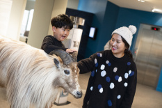 ATTRACTIONS OtagoMuseum Family 020 DunedinNZ