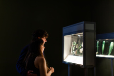 Otago Museum 45